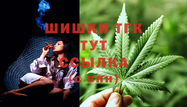 гидра Строитель