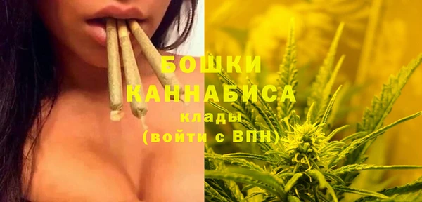 MESCALINE Вяземский