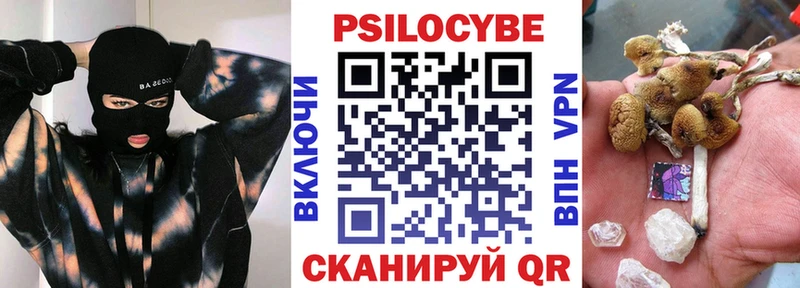 продажа наркотиков  Свирск  Галлюциногенные грибы Psilocybe 
