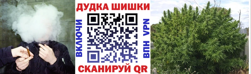 Бошки марихуана конопля  гидра сайт  Свирск 